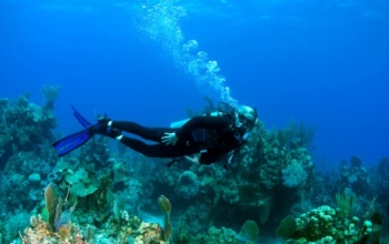 3 Tage/2 Nächte Banyuwangi Sharing Tour
