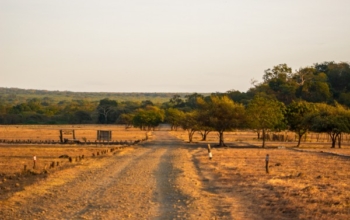 Baluran National Park & Djawatan Forest